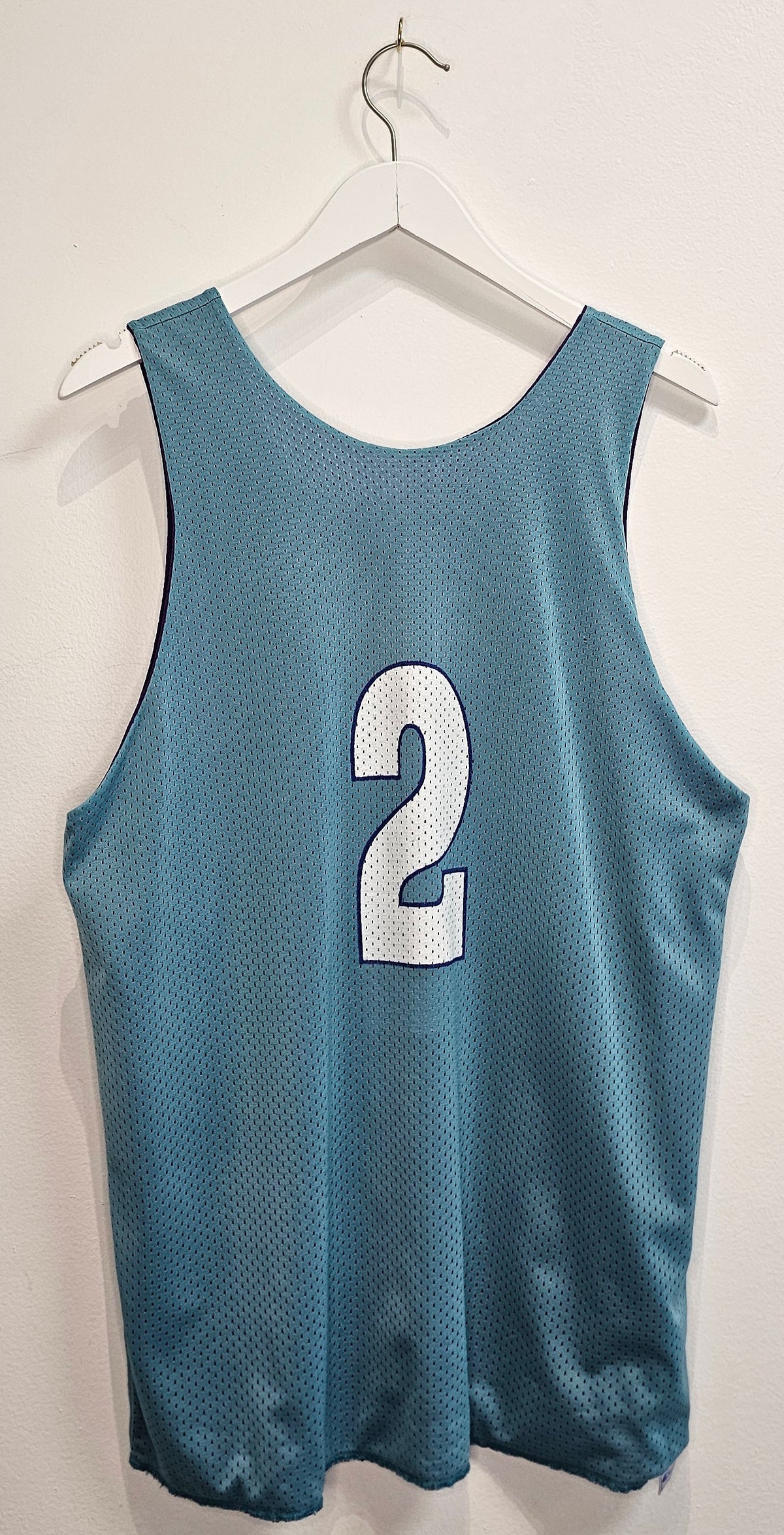Vintage Champion Reversible Charlotter Hornets Larry Johnson #2 basketball practice jersey