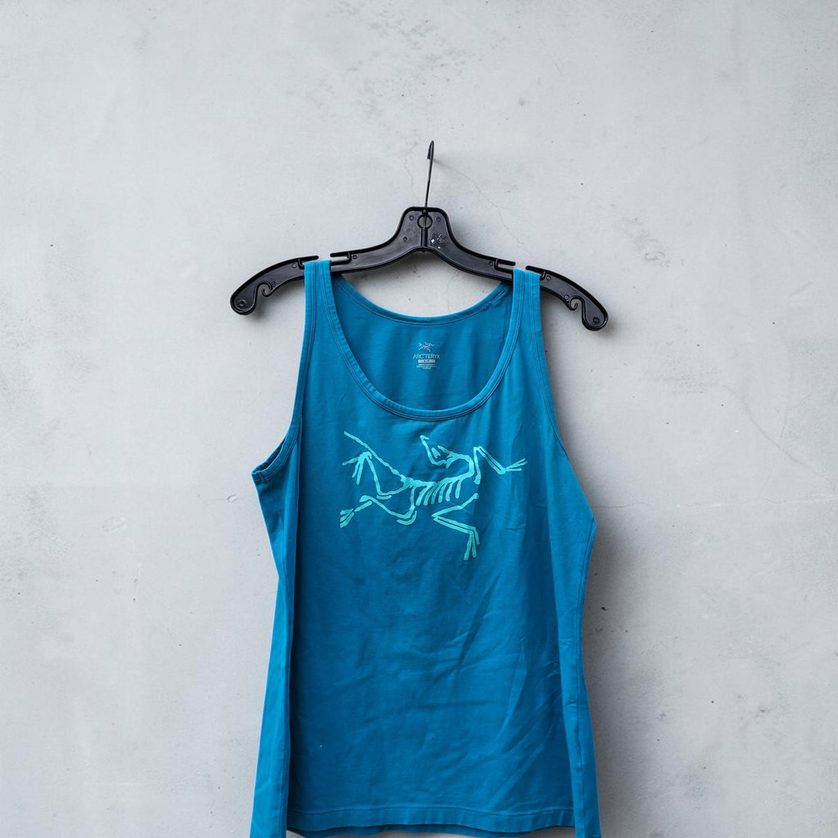 Womens Arcteryx archaeopteryx bright blue top