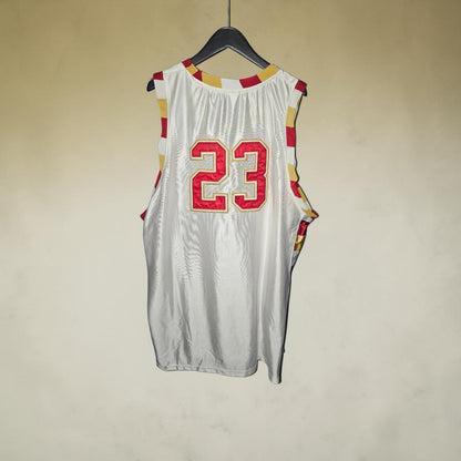 Function & future NBA Cleaveland Cavaliers #23 basketball jersey