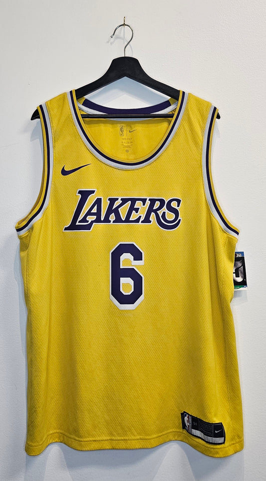 Nike drifit swingman NBA Los Angeles Lakers Lebron  James #6 Basketball jersey